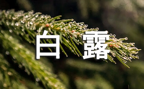 ��¶�����Ķ̾䣨����12ƪ��