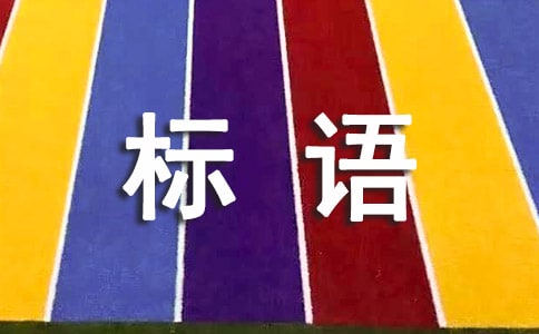 ΢Ц����������