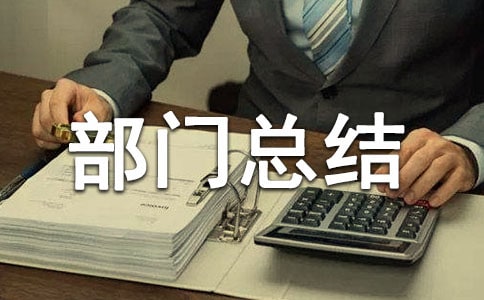 �����ܽᱨ�淶��
