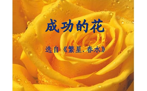 ���ġ��ɹ��Ļ��������