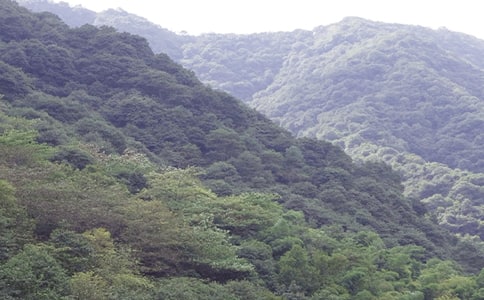 描写大山的古诗词大全