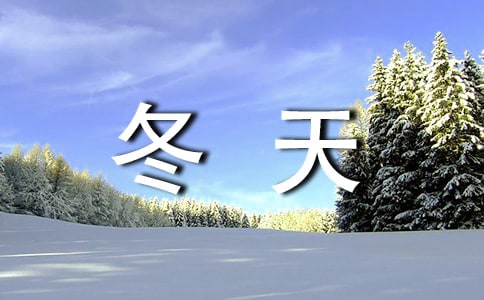 �����ϵĶ��졷��ѧ���(15ƪ)