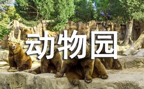 �Ǽʶ���԰Ӣ�Ķ����
