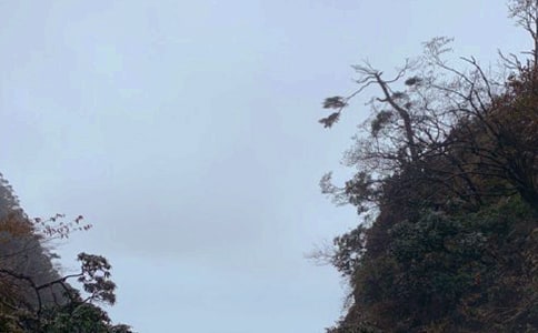 关于峨眉山旅游攻略