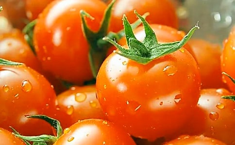 ԭ�����ѽ����ʷ��Ѹ��ױ���������