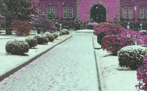 ��д����ѩ�ľ���60��