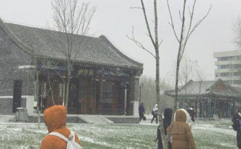 读《暴风雪的夏天》有感2篇