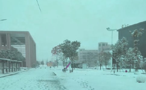���ڡ���ѩҹ�顷�Ķ���ϰ�⼰��