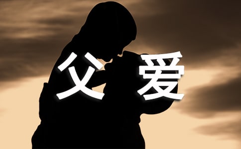 ������ɽ����ܽᣨ�ţ�