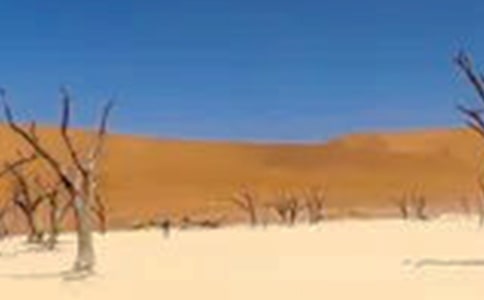 2016年世界防治荒漠化和干旱日是什么时候