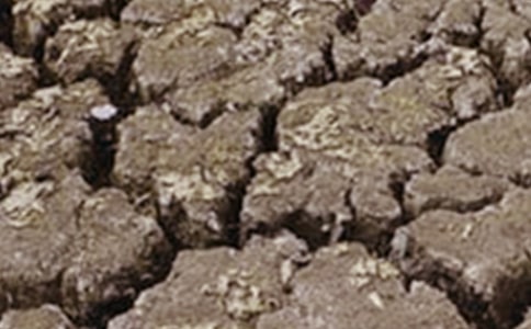 2016年6月17日是第几个世界防治荒漠化和干旱日