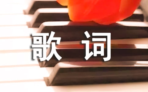 �����ǻ��������