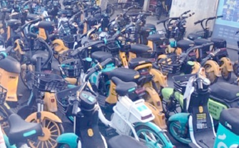 ofo����������ֵ��.Ǯ��������