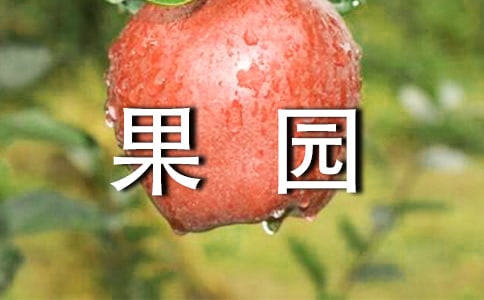 ��԰���ʵ������