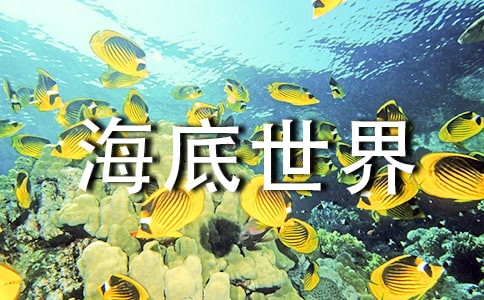 《海底世界》教学设计范例