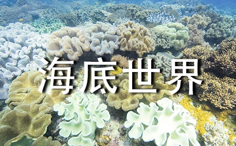 给卡通海底世界配句子