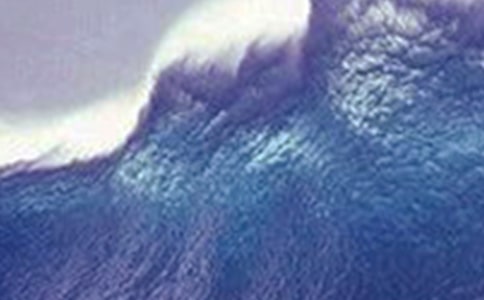 《海啸奇迹》观后感