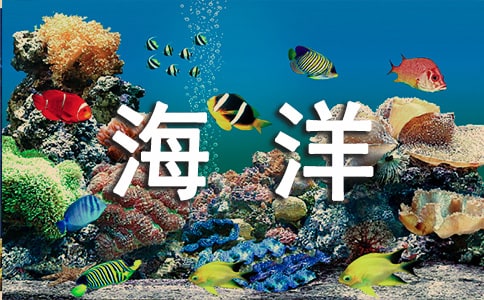 �������纣����ף����