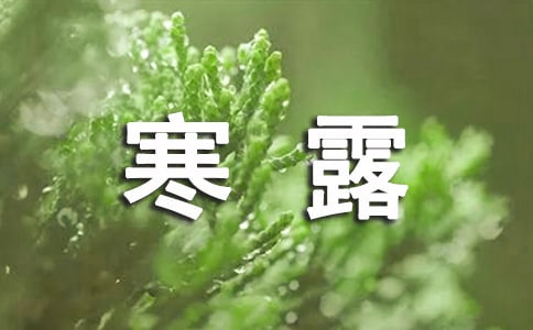 ��¶��������¼