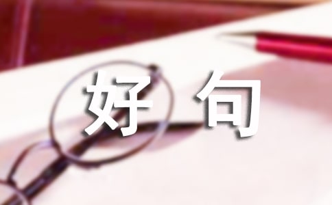 ��ʿ����̨����¼��ѡ�þ�