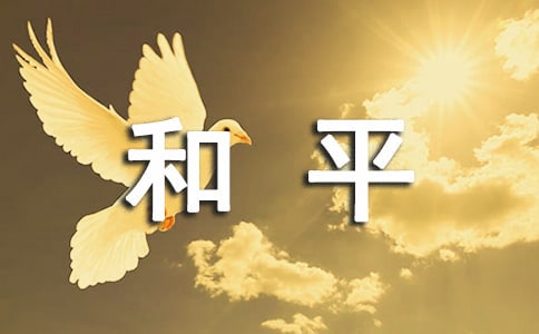 Ϊ�˺�ƽ��¼Ƭ�ۺ��