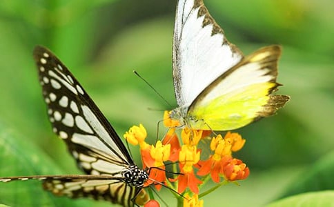 ��̨��ĺ����ȡ��ڶ���ʱ��ѧ���