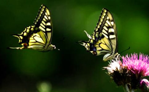 ��̨��ĺ����ȡ���ѧ��Ʒ���
