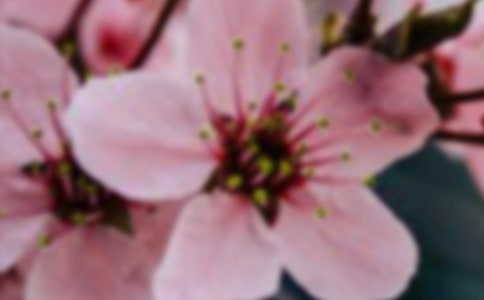 ��д���컨��Ψ������