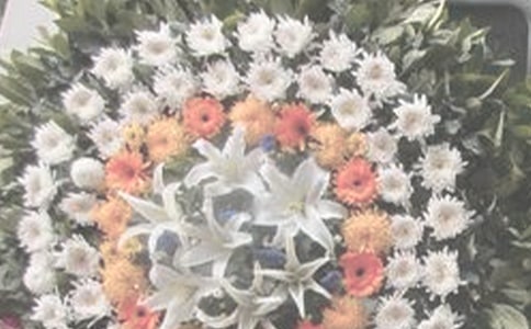 ����ո���������������Ȧ˵˵