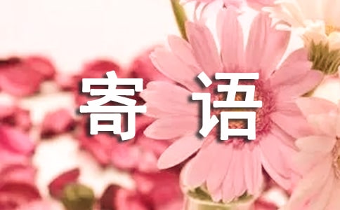 ����쾴�����