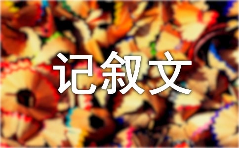 �����������ּ�����