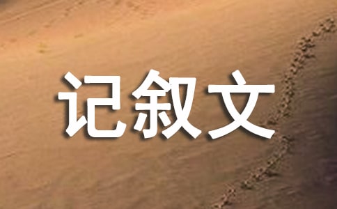 感受生活记叙文