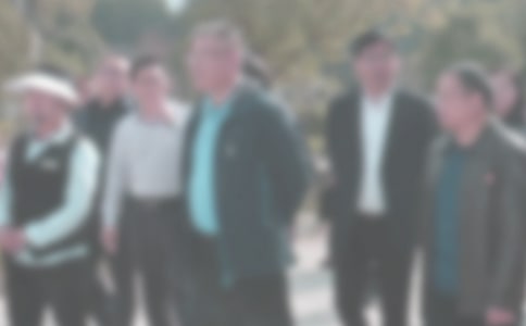 �ͼ첿��ѡ��