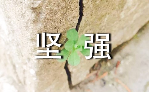�����ǿ������¼��ͨ��80�䣩