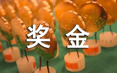 ��˾�������뱨��