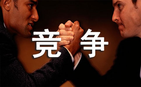 ��ƽ��������Բ鱨��(13ƪ)