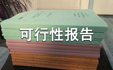 创业项目可行性报告范文【荐】