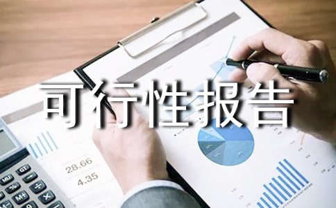 项目可行性报告范文
