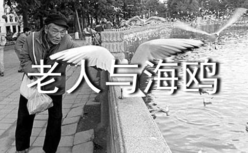 �������뺣Ÿ�������ĵ�
