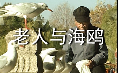 ���������뺣Ÿ���и�