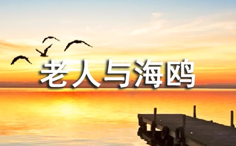 �������뺣Ÿ�������