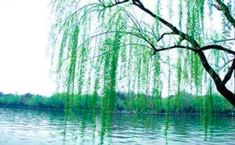 ���ġ��������ˡ������ѧ���ģ��