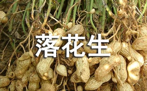 �仨����ѧ���15ƪ