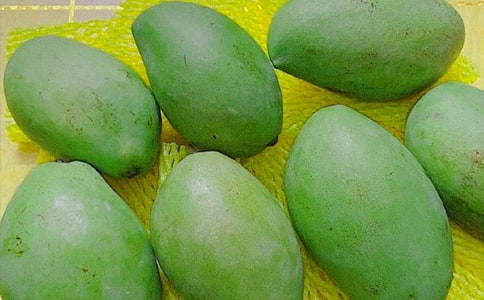 ����Ȧ����â���İ�230��