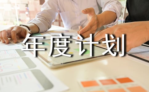 年终总结及年度计划范文