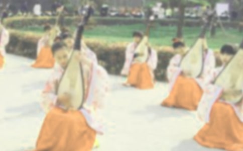 贺新郎·赋琵琶古诗词鉴赏