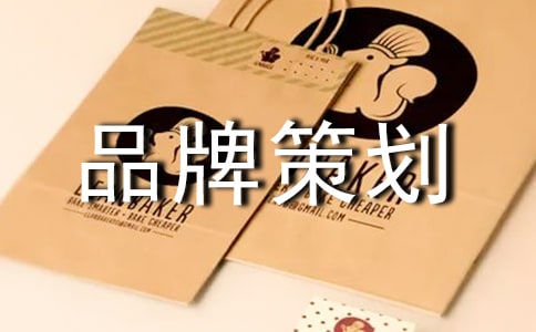 品牌策划书模板