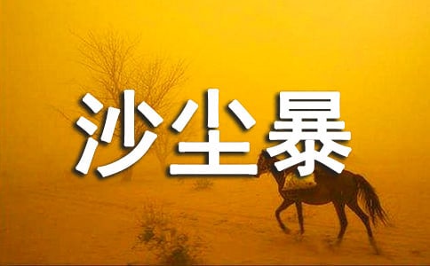 �й�ɳ����������