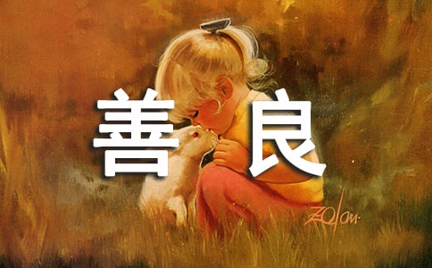 ����������¼40�侫ѡ