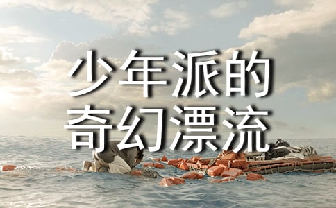 《少年派的奇幻漂流》观后感14篇【精品】